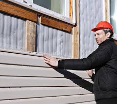 Best Custom Trim and Detailing for Siding  in Topaz Ranch Estates, NV